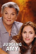 judging amy tv poster